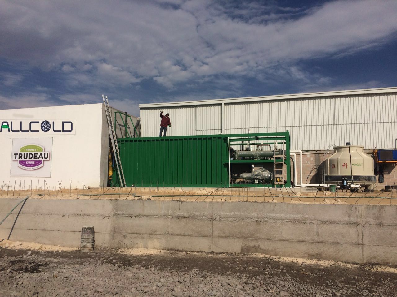 6 Pallets Vacuum Cooler For Post Harvest Broccoli Farms